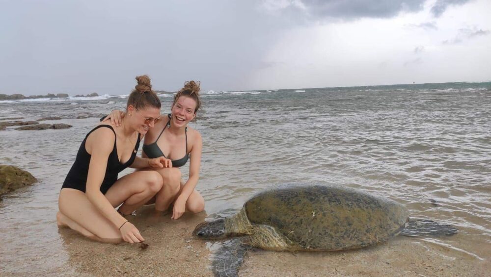 08 Days Down South Tour